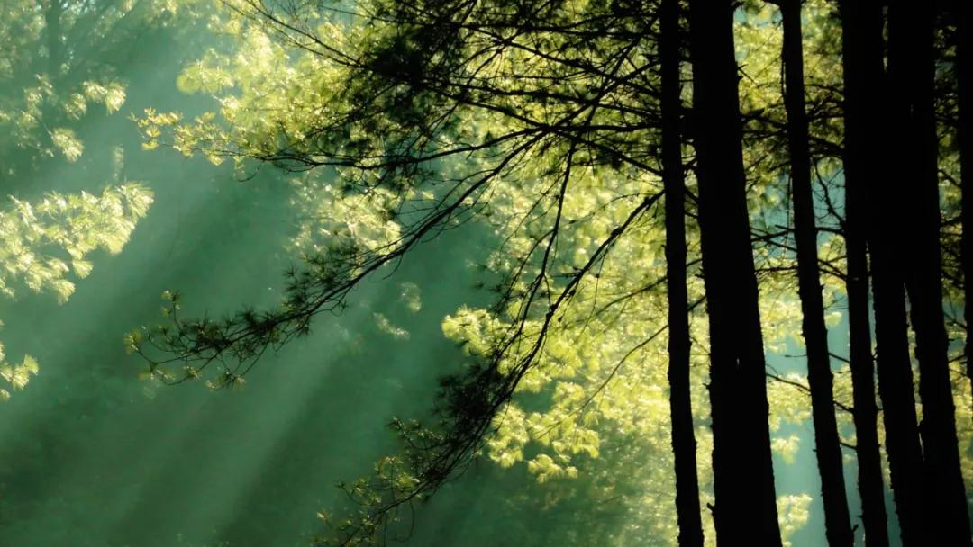 沿着传奇怒江，探访秘汤原乡