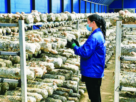 高质量打赢脱贫攻坚战,坚决打好精准脱贫攻坚这场硬仗