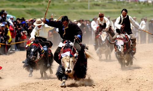 藏族的传统节日是什么,藏族回族苗族的传统节日是什么