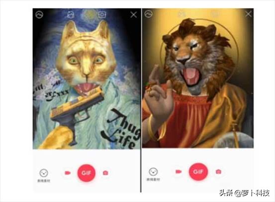 哪款表情包输入法最好,哪个输入法表情包最全