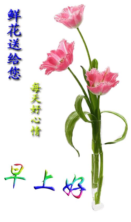 最新早安心语大全,最新早安心语经典语录图片