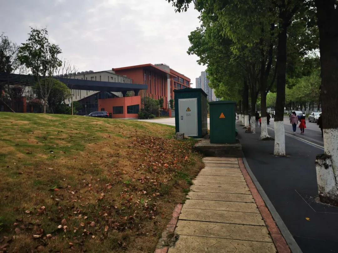 大竹林西大附中环境,西大附中大竹林图片