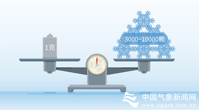 草木植物科普,科普知识观察一棵植物