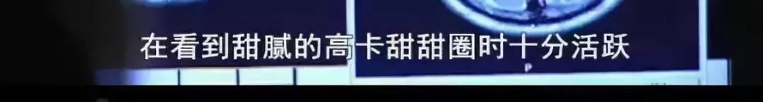 吃早餐真的会让人变胖嘛,bbc科学实验
