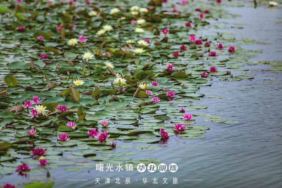 天津景点豪华,天津景点费用