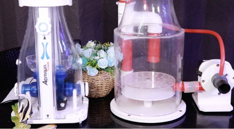 海水产品的优缺点,海水制作的产品有哪些