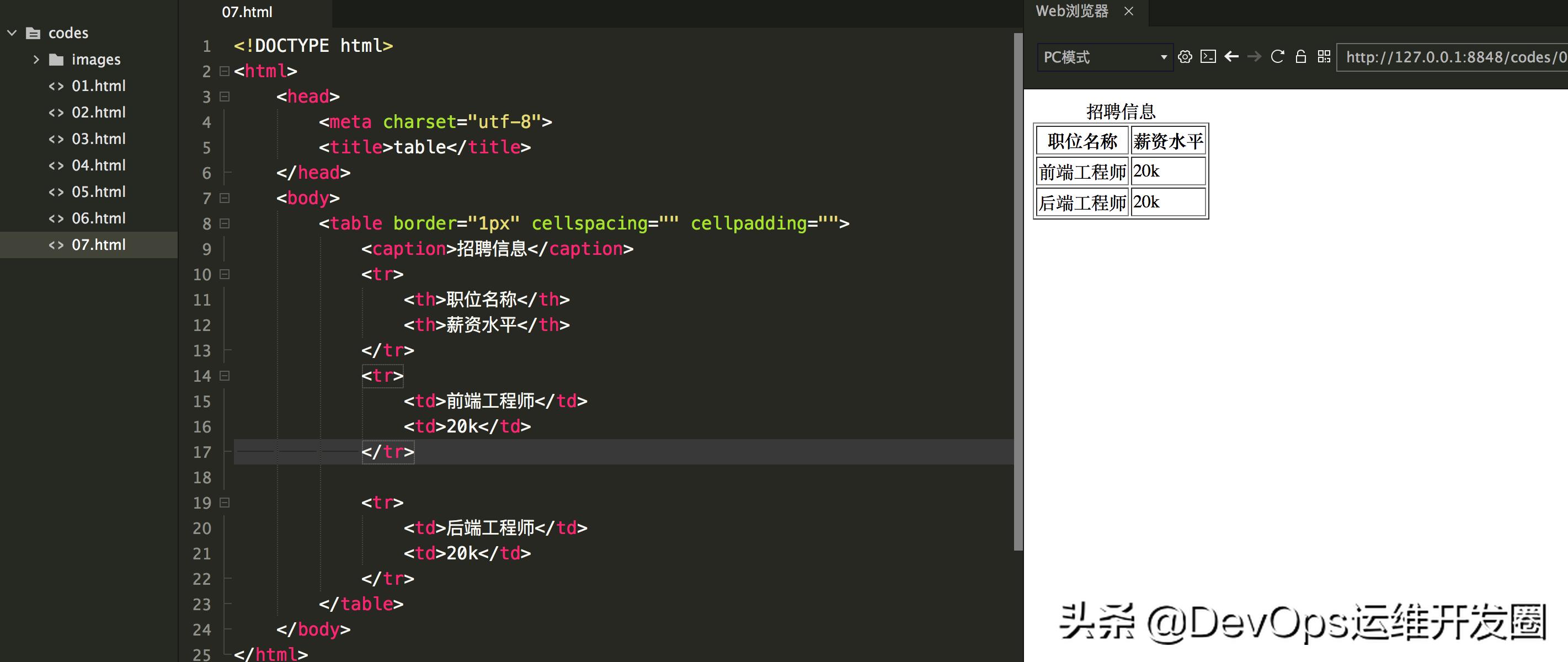 一文学英语,一文教会你掌握python