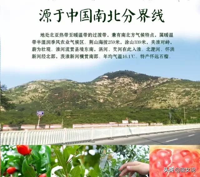 安徽怀远石榴是什么味道,安徽怀远石榴图片