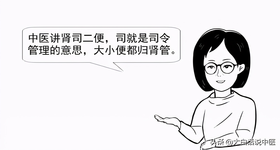 大白话说中医第七十九集,大白话说中医第十九期