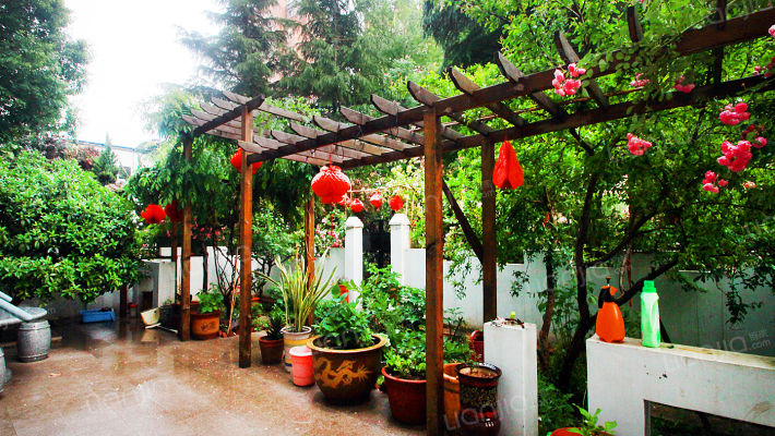 花市买花最忌讳什么,花市买花的寓意