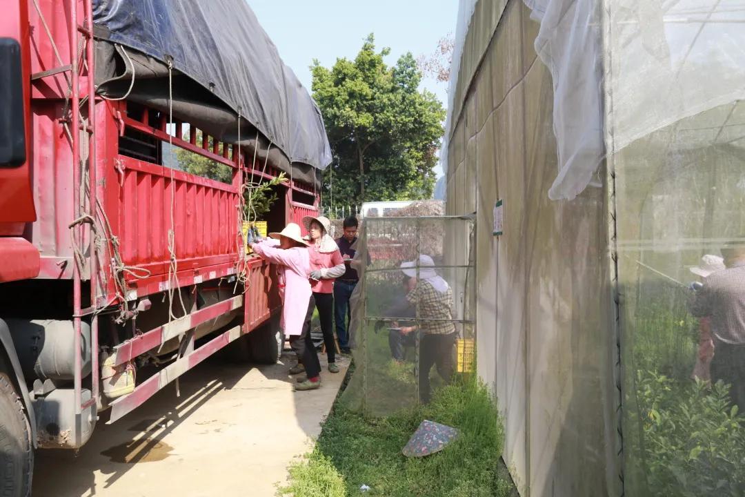 奋战一季度实现开门红,铆足干劲开新局全力奋战开门红