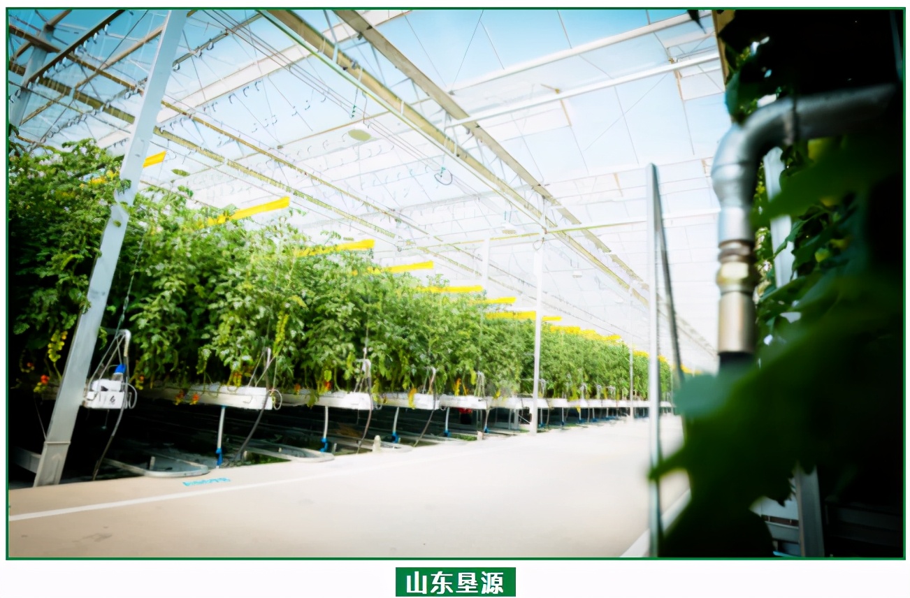 现货批发椰糠栽培基质,进口优质椰糠基质