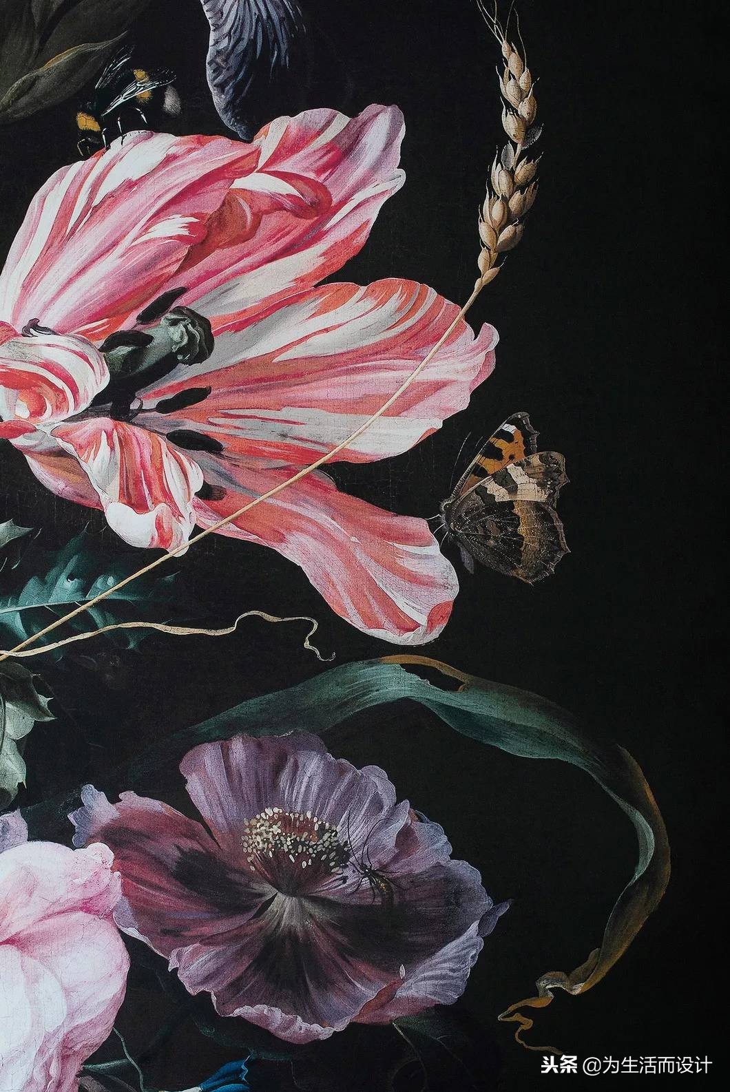 分享生活感悟可复制,分享写生生活