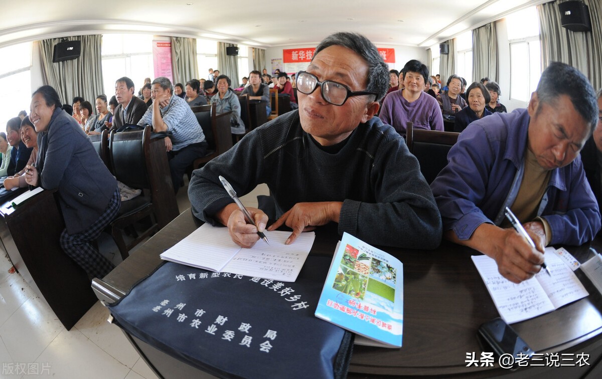 山西大哥养30头牛,山西大哥养牛