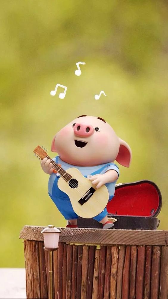 可爱又萌的小猪猪,可爱的小猪猪萌萌哒