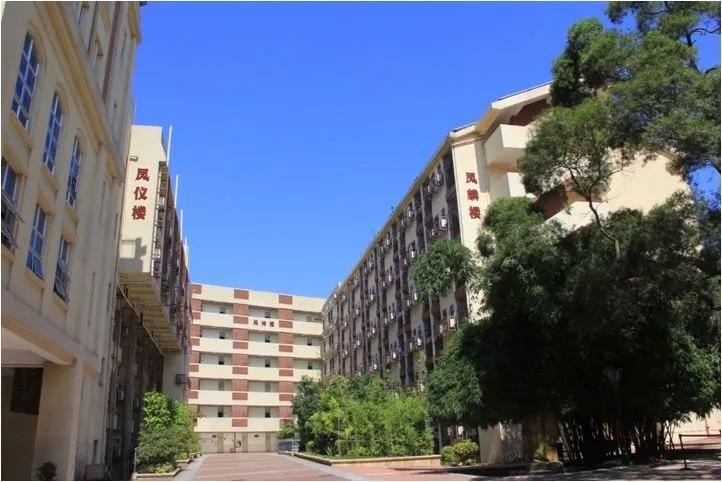 来南头中学，你将成为最好的自己