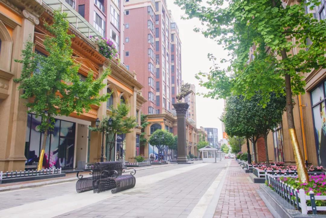 中国城唐人街在线观看,四川成都崇州唐人街