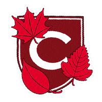 美国留学工资高的大学排名,就业率高的美国大学