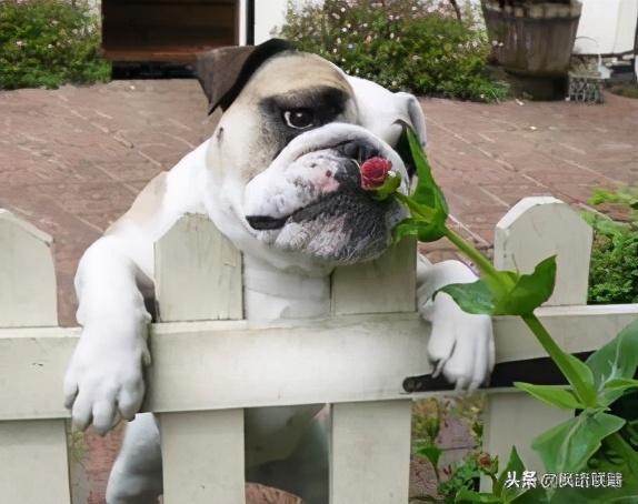 三个人的友谊被忽视怎么处理,三个人的友谊莫名其妙被排斥