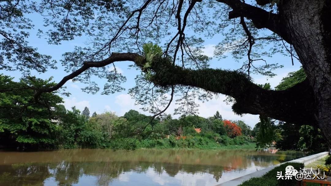 清迈攻略介绍,清迈攻略最全