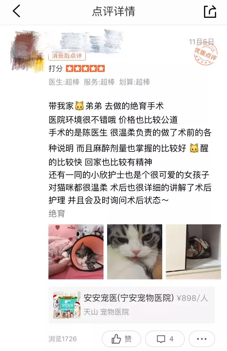 安安宠医罗湾路分院,安安宠医2019