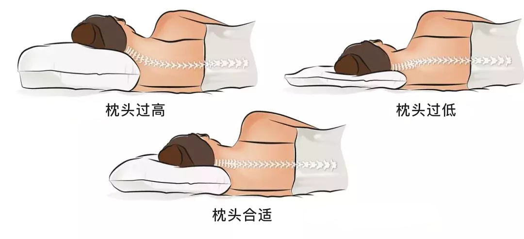 买枕头还要讲究吗,买枕头只买一个