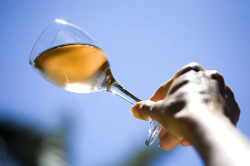 0度c冰酒为什么那么便宜,冰酒入门级推荐