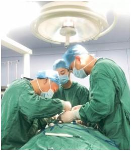 随州市口腔医院,随州最好的口腔医院