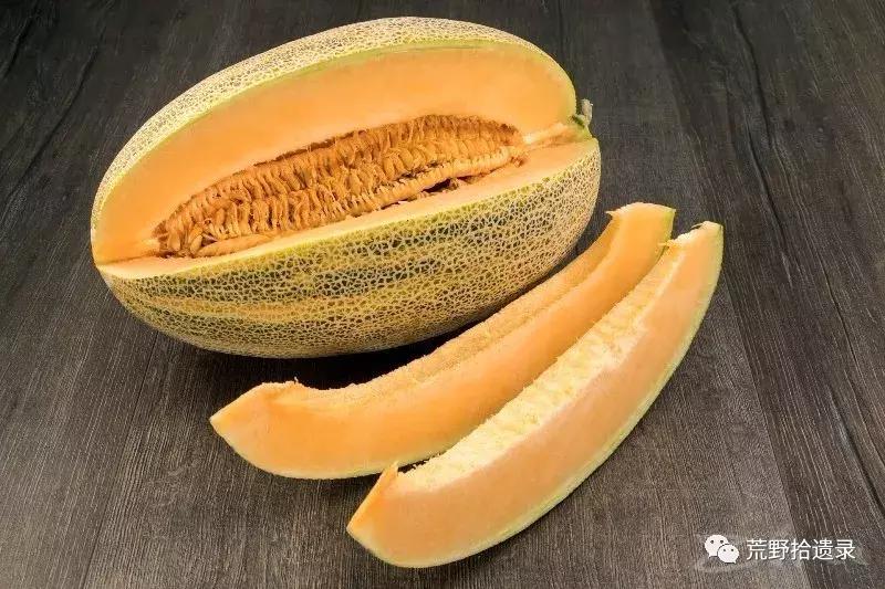 四川适合种植哈密瓜甜瓜品种,甜瓜种植技术新疆哈密瓜