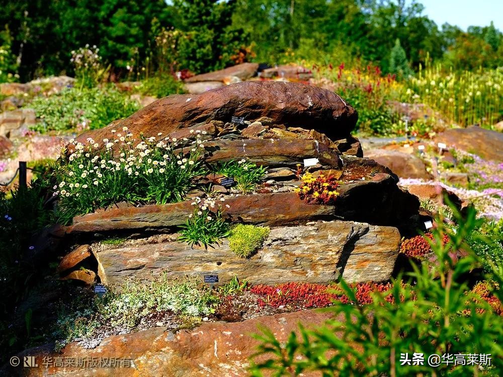 你好,挪威——跟着李忠去考察