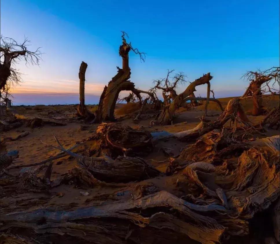 北疆的美完整版,北疆的景最美