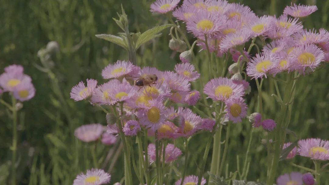 在家带娃宝妈能做什么赚钱,全职宝妈在家带娃怎么赚钱