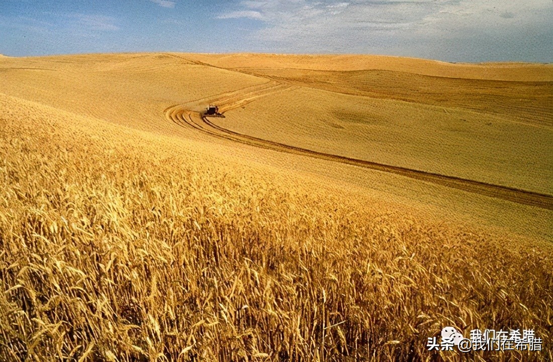 希腊海边土地价格,希腊土地多少钱一亩