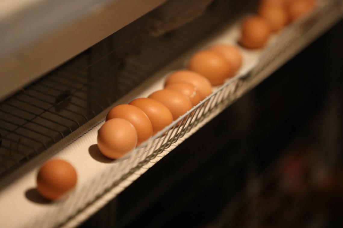 舌尖上的赤峰篇,舌尖上的赤峰美食篇