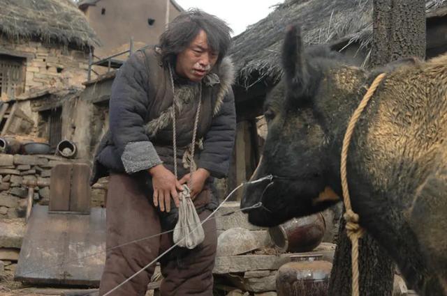 黄渤金马影帝演技炸裂,黄渤电影末路