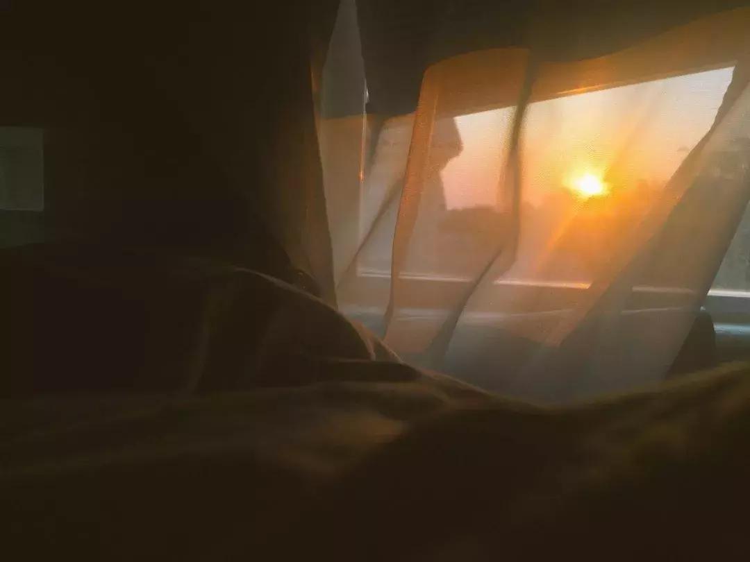 “我爱你，我想请你吃饭。”