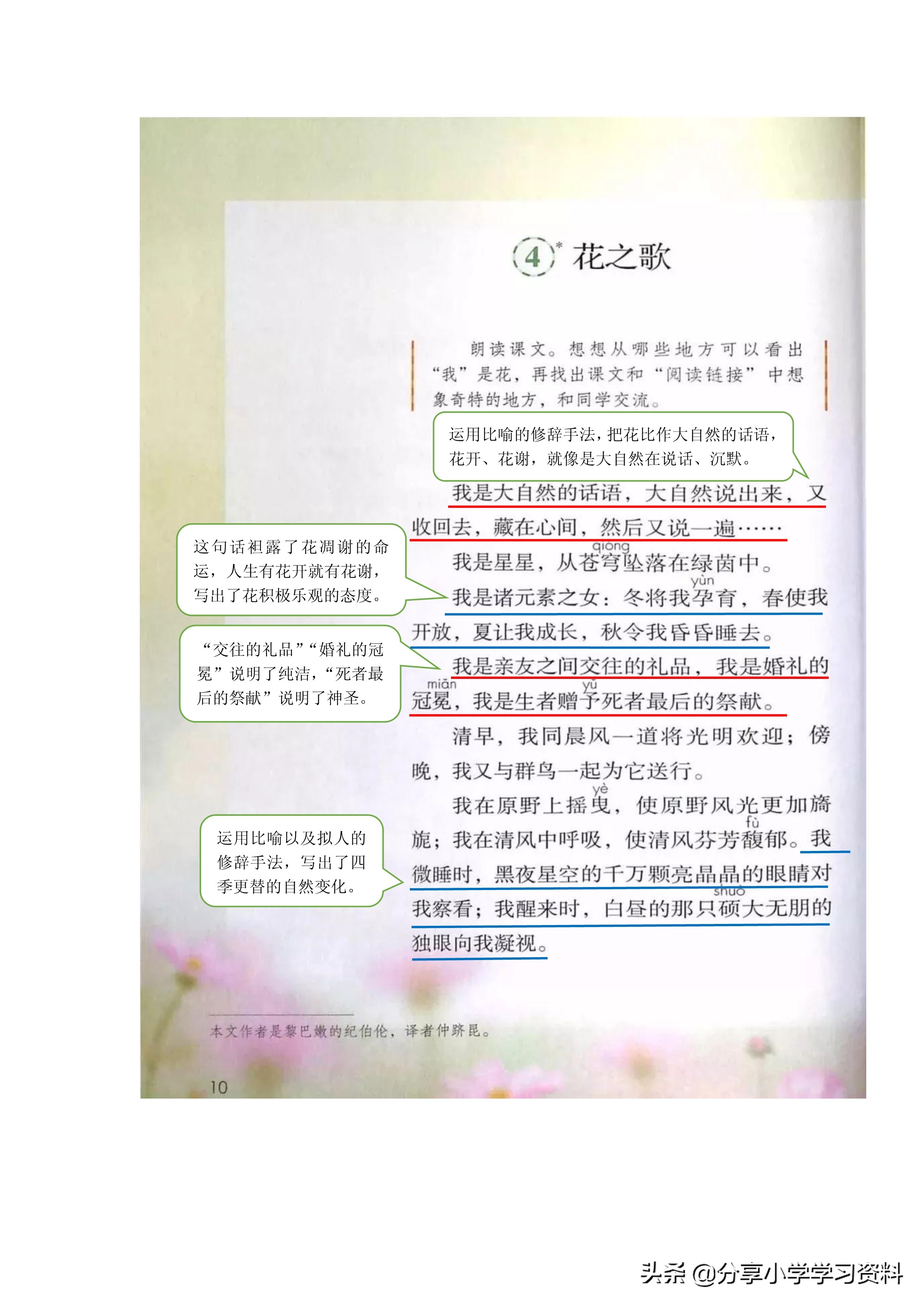 小学语文六上教材解读,六上语文书课堂笔记全册