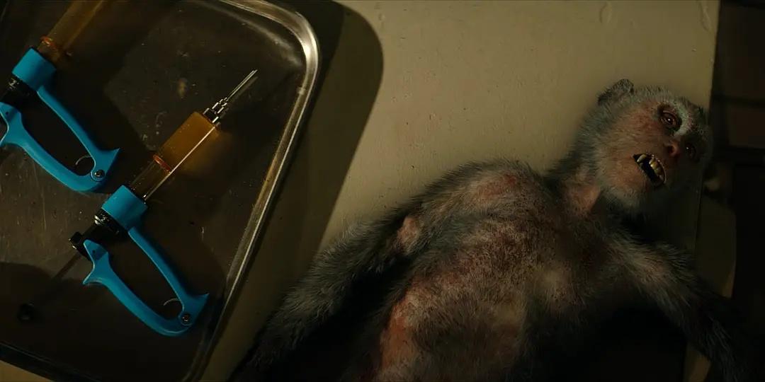 恐怖大师斯蒂芬金视频,斯蒂芬金最恐怖的电视剧