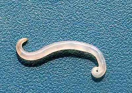 4岁男孩沉迷“摸*体下**”，送医后发现老爸才是罪魁祸首