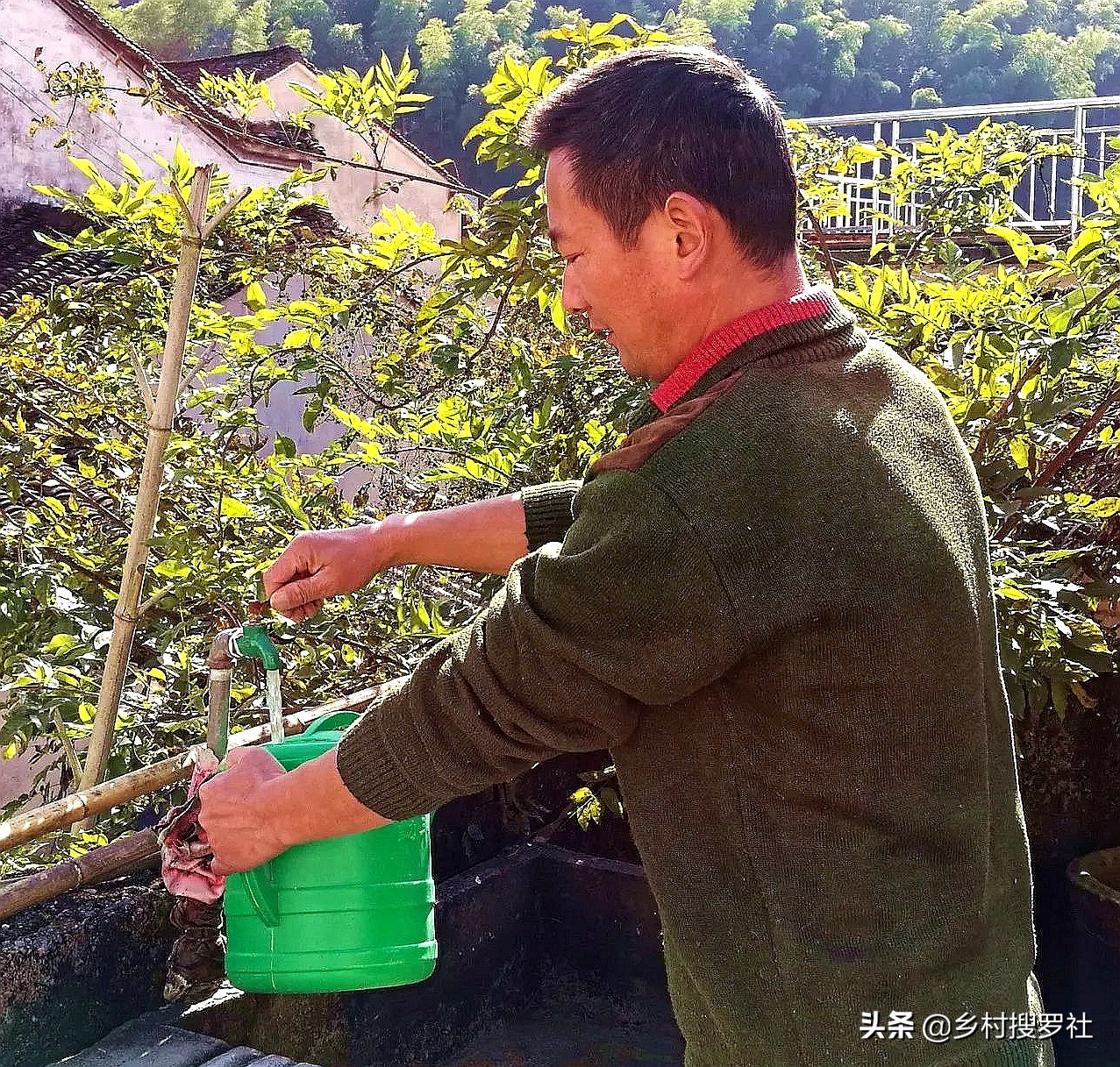 兰花用什么水喷叶子最好,兰花花朵有点干能不能喷点水雾
