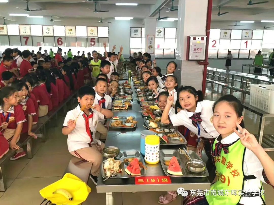东莞南城东晖实验学校初中公费生,东莞市南城东晖实验学校