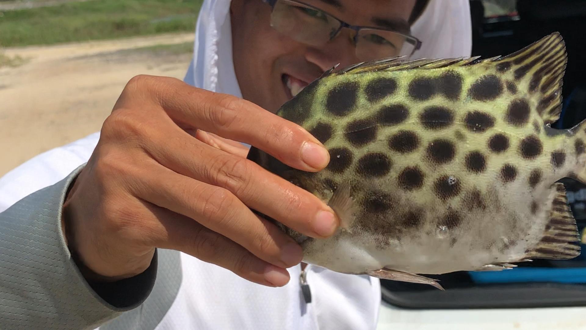 湛江出海钓鱼多少钱一天,在湛江海钓多少钱
