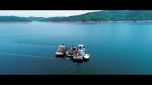 水源保护地生态养鱼,水库生态养鱼思路图