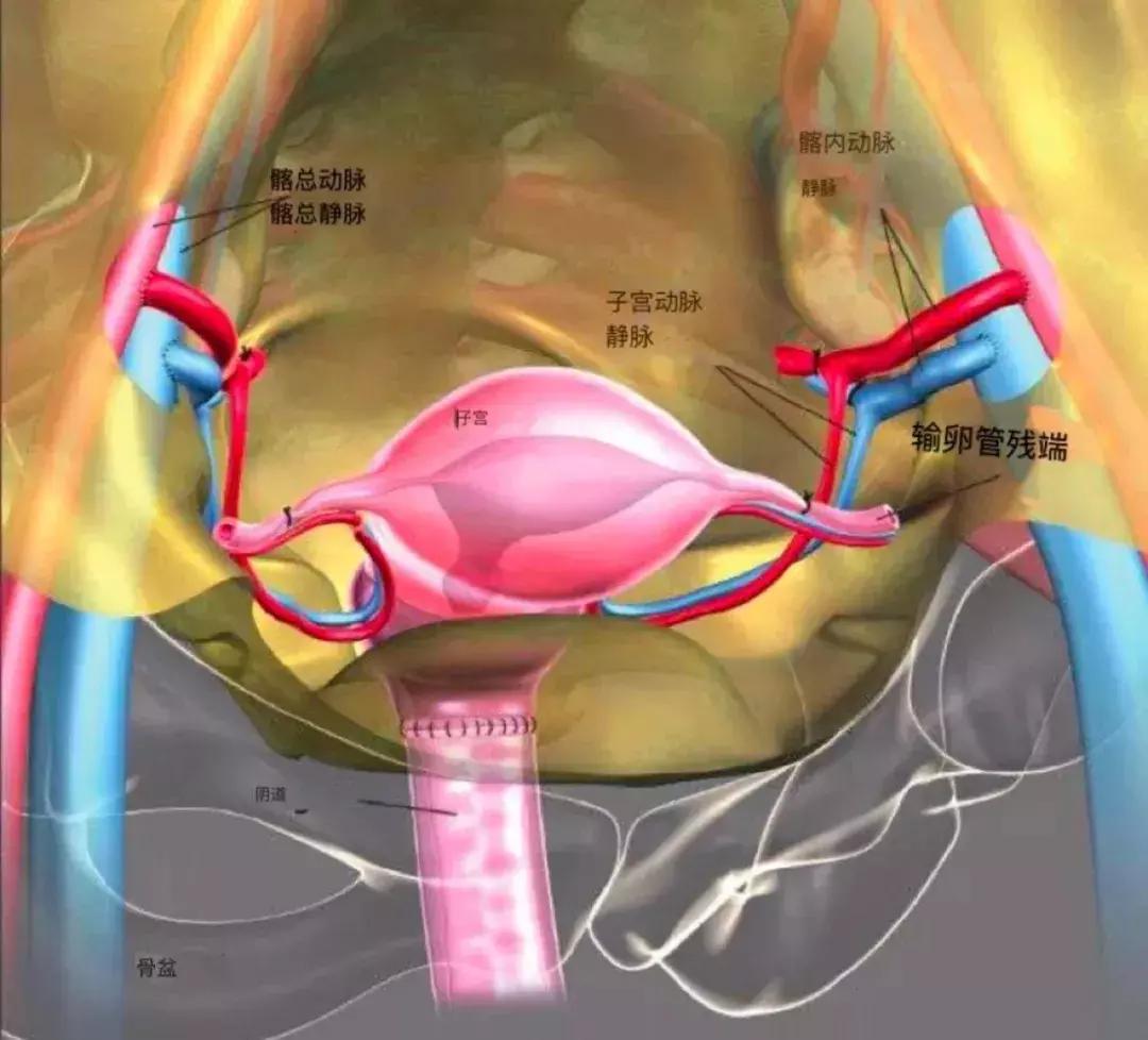 女儿用母亲子宫产子风险重重,这样的选择值吗?