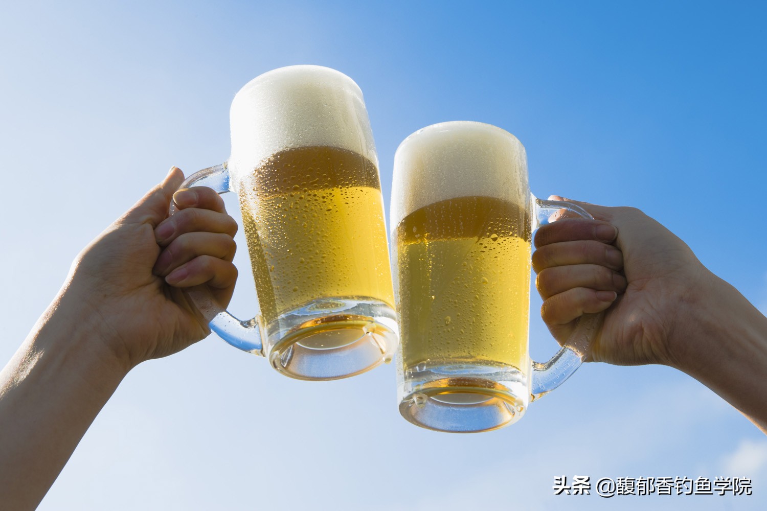 钓鱼饵料味型出错,钓鱼饵料原则及使用方法