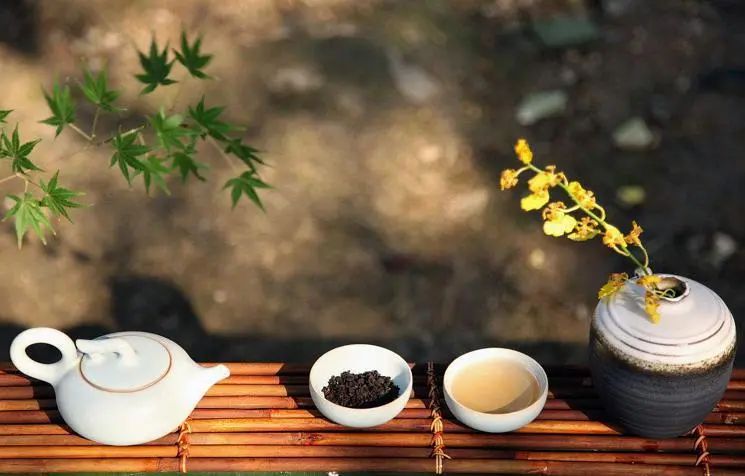 于丹趣品茶韵第十四集,于丹趣品茶韵十三集