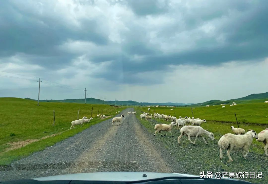 内蒙古最东边的草原,内蒙古真正的草原在哪里