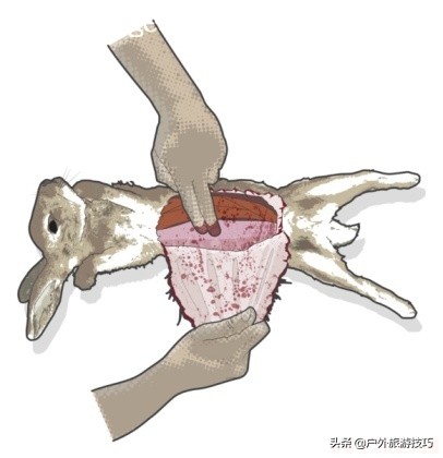 野外生存抓到猎物在哪处理,野外生存简易捕猎的方法