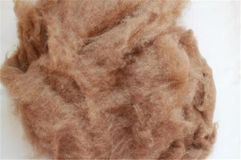 驼毛与羊毛哪个好,驼毛和驼毛绒棉的区别