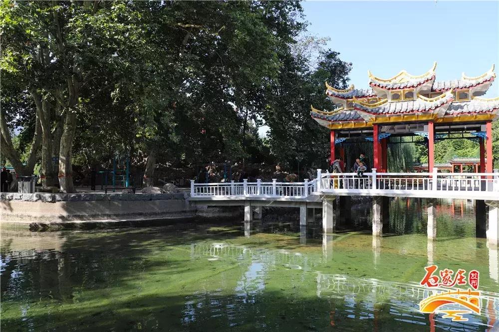 四十年前石家庄街景视频,石家庄40年